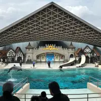 Marineland has solid plan to move whales and dolphins to U.S., minister says