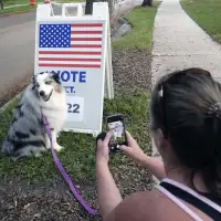 Why AP called Florida for Trump