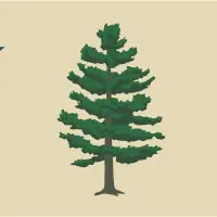Mainers reject proposal to resurrect the state's original flag