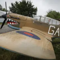'Losing an old friend': Retired fighter pilot selling replica of P-40 Warhawk