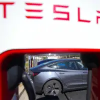 Tesla's profit plunges again as the fallout from Musk's politics continues to repel buyers