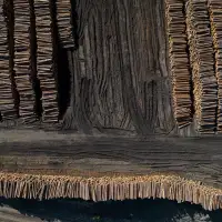 B.C.'s independent wood manufacturers decry retroactive U.S. softwood duties