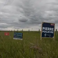 Electoral reform, dinosaurs and 'spite': the 'Longest Ballot' protest, explained