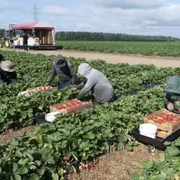 Migrant worker calls proposed spike in housing cost payroll deduction 'wickedness'