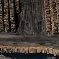 Eby calls softwood lumber dispute "canary in the coal mine" of U.S. protectionism