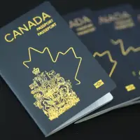 Immigration lawyers say rising number of CSIS security screenings causing delays