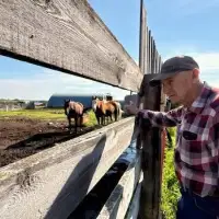 Alberta farmers in this conservative stronghold feel conflicted as Battle River-Crowfoot byelection nears