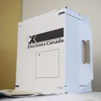 Canada's federal voting system is constitutional, Ontario Court of Appeal rules