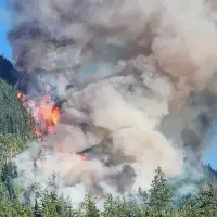 Wildfire raging near Port Alberni, B.C., shows 'extremely vigorous' behaviour