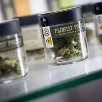 Marijuana shops sue New York after they were allowed to open too close to schools
