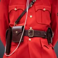 Number of Mounties on long-term sick leave poses 'significant operational challenges': report