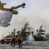 Forest fire travel ban backlash demonstrates lack of investment in trust post-COVID, says public health expert