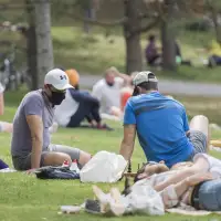 Urban greenspace a protective lifeline against COVID-19 depression, study suggests