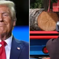 Trump says imports of wood products may pose national security threat to U.S. — raising fears in B.C.