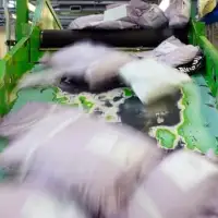 Small businesses that relied on duty-free U.S. shipping wonder if they can survive without it