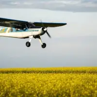 Carney's $370M canola incentives are missing the mark, says industry group president