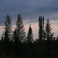 Ontario set to begin building road to the Ring of Fire