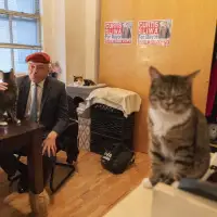 Trump dismisses cat-loving NYC Republican candidate for mayor as 'not exactly prime time'