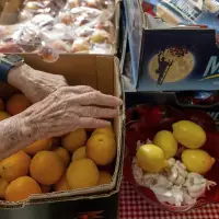 After cuts to food stamps, Trump administration ends government's annual report on hunger in America