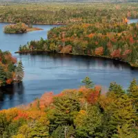 Canada’s forests: the roots of a resilient nation