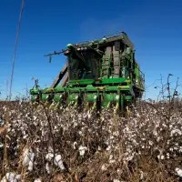 Georgia farmers will get $531M in Hurricane Helene aid, but the deal's not done yet