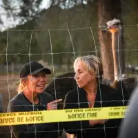 CFIA says ostrich cull will go ahead after high court decides it won't hear appeal