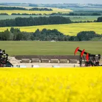Ottawa faces pressure after China offers deal on canola, EV tariffs