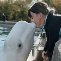 'We need to get them out': Beluga trainer fired by Marineland speaks out