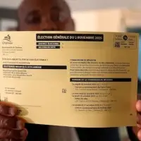 Canada Post labour dispute disrupts delivery of voter cards, mail-in ballots