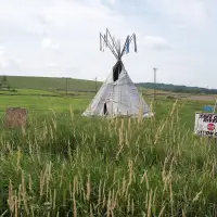 N.S. still failing to consult on law blocking protests on Crown land: Mi'kmaq leaders