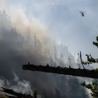 Wet and mild winter is 'good news' for B.C. wildfire season, says forecaster