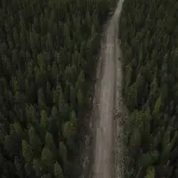 Alberta government pays out $95 million to end another coal policy lawsuit