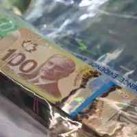 Financial intelligence agency stresses stepped-up role in fight against fentanyl