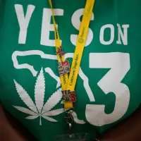 Campaign to legalize recreational marijuana takes DeSantis administration to state Supreme Court