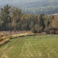 Ostrich farm rallies support as court says it will decide next week if it hears case