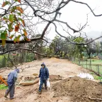 FEMA acting chief David Richardson departs after 6 months on the job, officials say