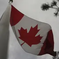 'Lost Canadians' legislation becomes law after Senate approval