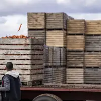 Farmers will lobby Ottawa for $50K guaranteed annual income pilot program