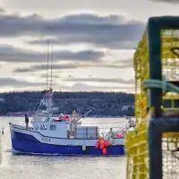 Conservative MPs question basis of 30% marine protected areas target