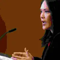 Liberals MPs warned that NDP bill on military exports could 'dismantle' defence trade