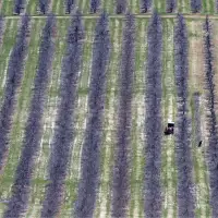 Report raises concerns about human rights of N.S. female migrant workers