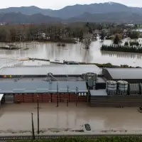 165 farms under flood evacuation order or alert in B.C.'s Fraser Valley