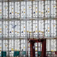 Customs portal causing headaches more than a year into its rollout