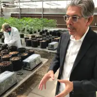 Cannabis entrepreneur Duke Rodriguez joins the race for New Mexico governor