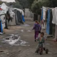 Gaza advocates urge Canada not to ignore persistent suffering amid partial ceasefire