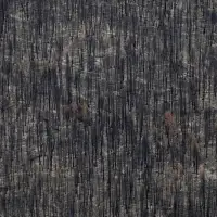 B.C. mills processed more than one million cubic metres of wildfire chips in 2024-25