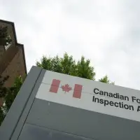 Canadian Food Inspection Agency recalls vegan bacon product over undeclared wheat