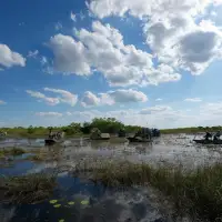 House refuses to override Trump vetoes as Republicans stick with president