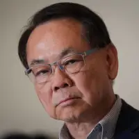 Rule-change needed after MP Chak Au held more than one public office at once, experts say