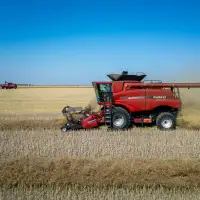 China to Offer Canola Relief for Easing EV Curbs During Carney Visit